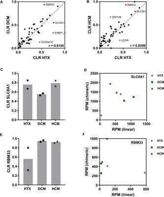 Targeted Analysis of circRNA Expression in Patient Samples by Lexo-circSeq